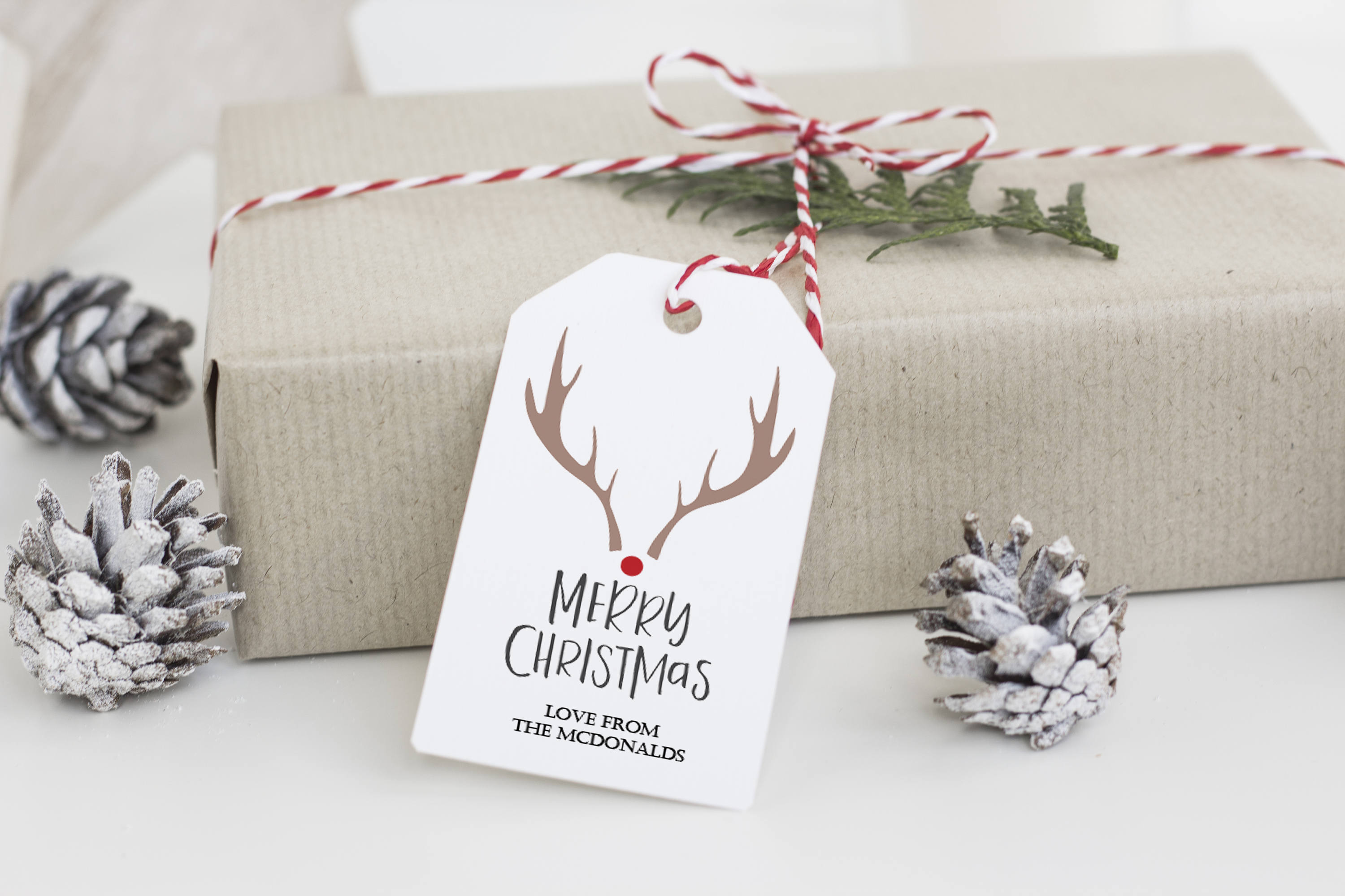 Personalised Christmas Gift Tag Pack, Scandi Reindeer Tag, Eco Friendly  Present Labels, Rustic Gift Tag, Christmas Favours, Name Tags