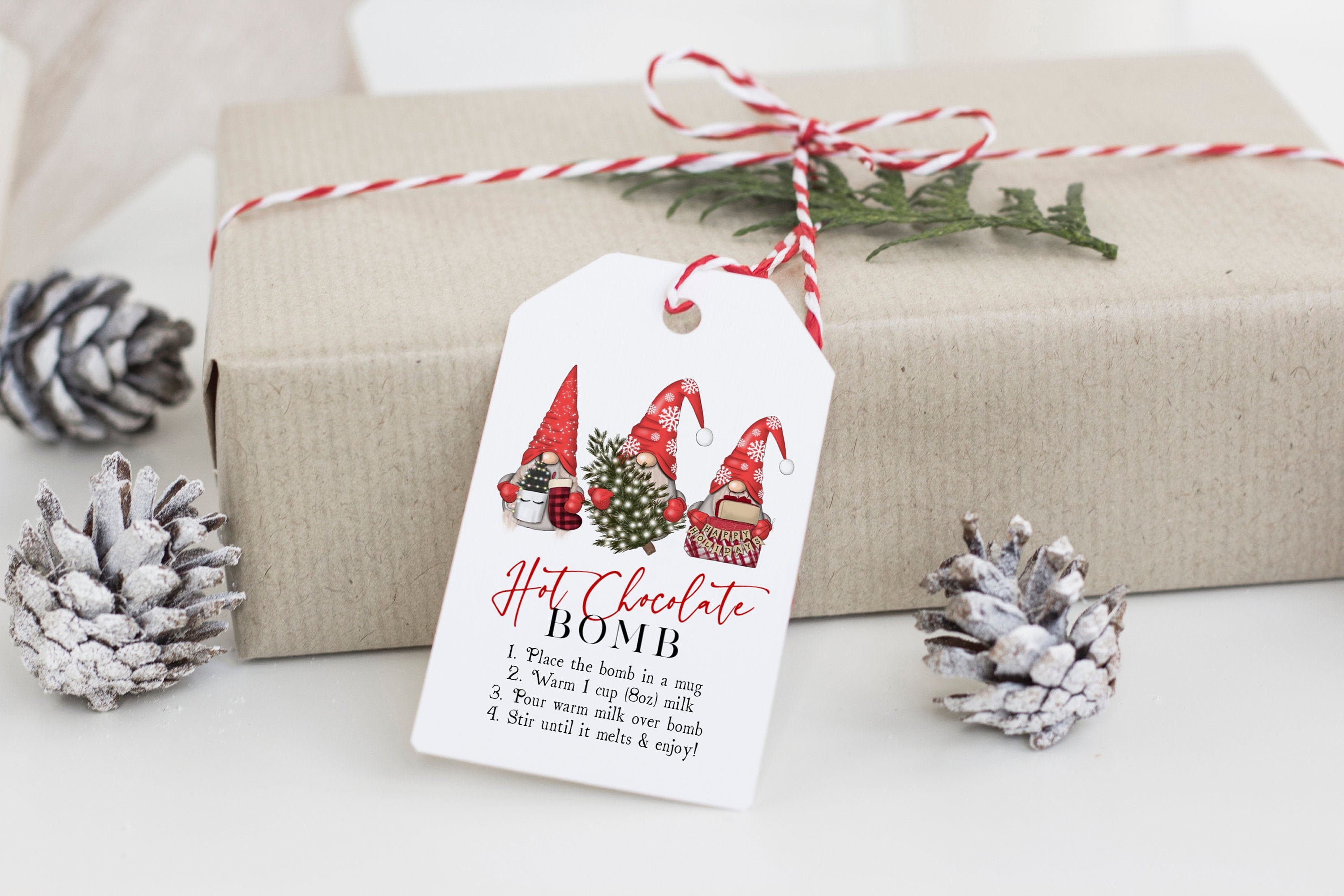 Christmas Hot Chocolate Bomb Tag Printable Bomb Directions ...