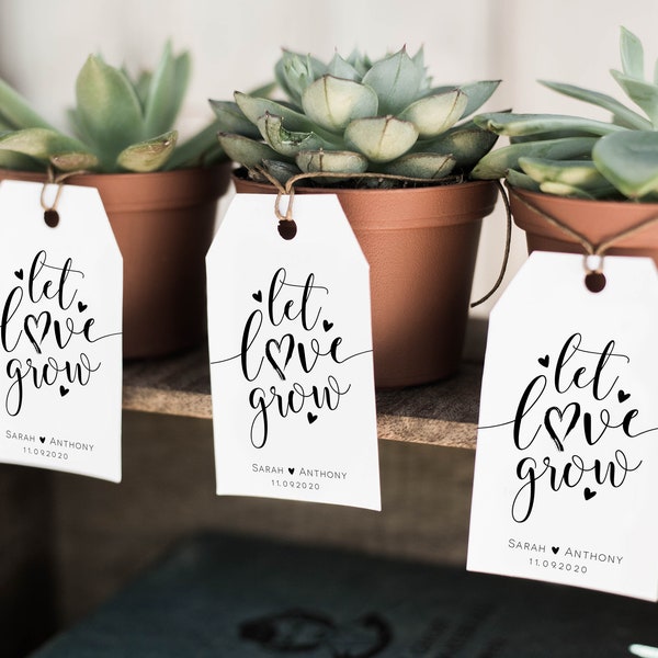 Let Love Grow Tag, Wedding Favor Tag, Shower Favor Tags, Instant Download, Edit with TEMPLETT, Succulent Favor Tags, WLP-SOU 2088