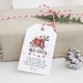 Christmas Hot chocolate Bomb Tag, Printable Bomb Directions Tags, Cocoa Favor Tags, Winter, Christmas, Edit with TEMPLETT, WLP-CHT 3883