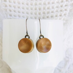 May include: A pair of dangle earrings with round, brown, and gold-toned resin cabochons. The earrings have a simple, minimalist design.
