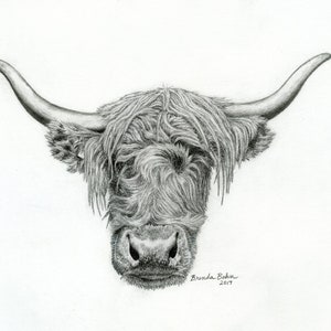 Highland cow print