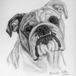 Bulldog headshot print
