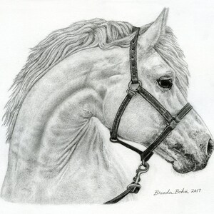 Horse 1 print