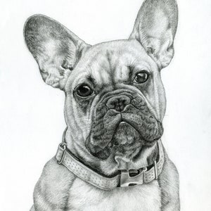 French bulldog print