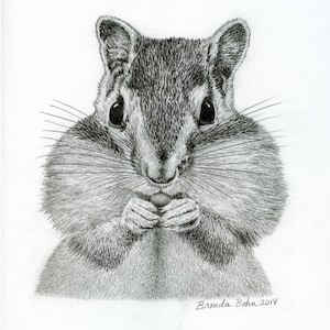 Chipmunk print