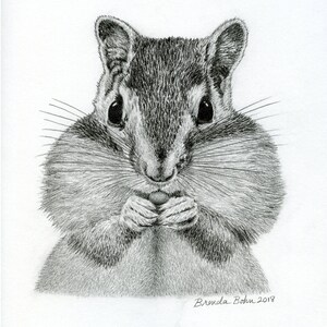 Chipmunk original drawing