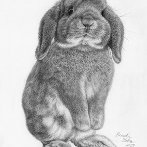 Bunny print