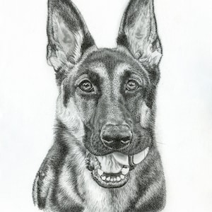 German shepherd print
