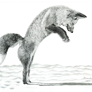 Jumping Fox print