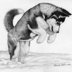 Husky print