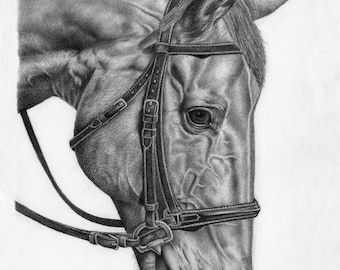 Paard 2 originele tekening