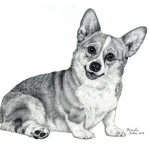 Corgi print