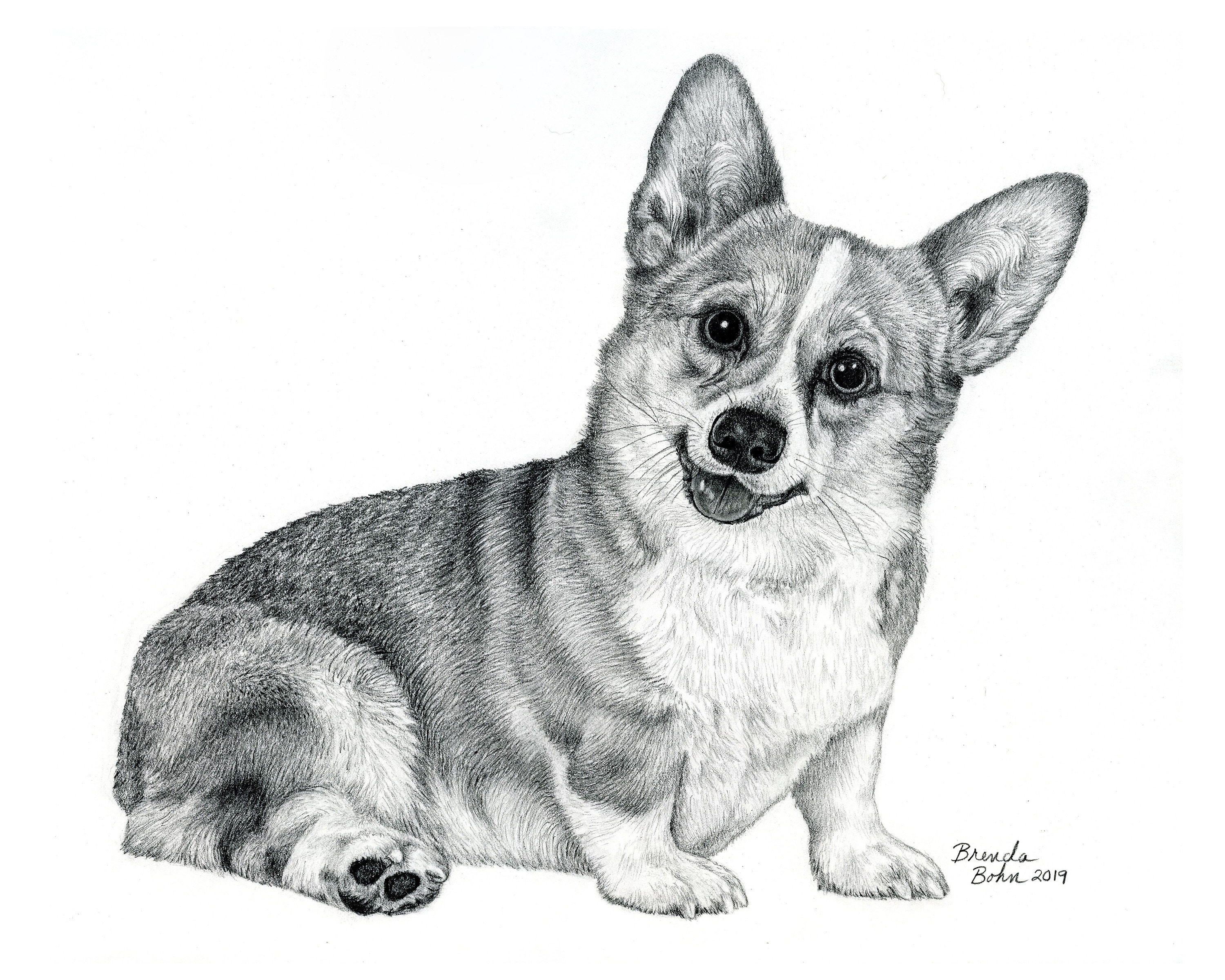 Corgi print, image size:3000x2400