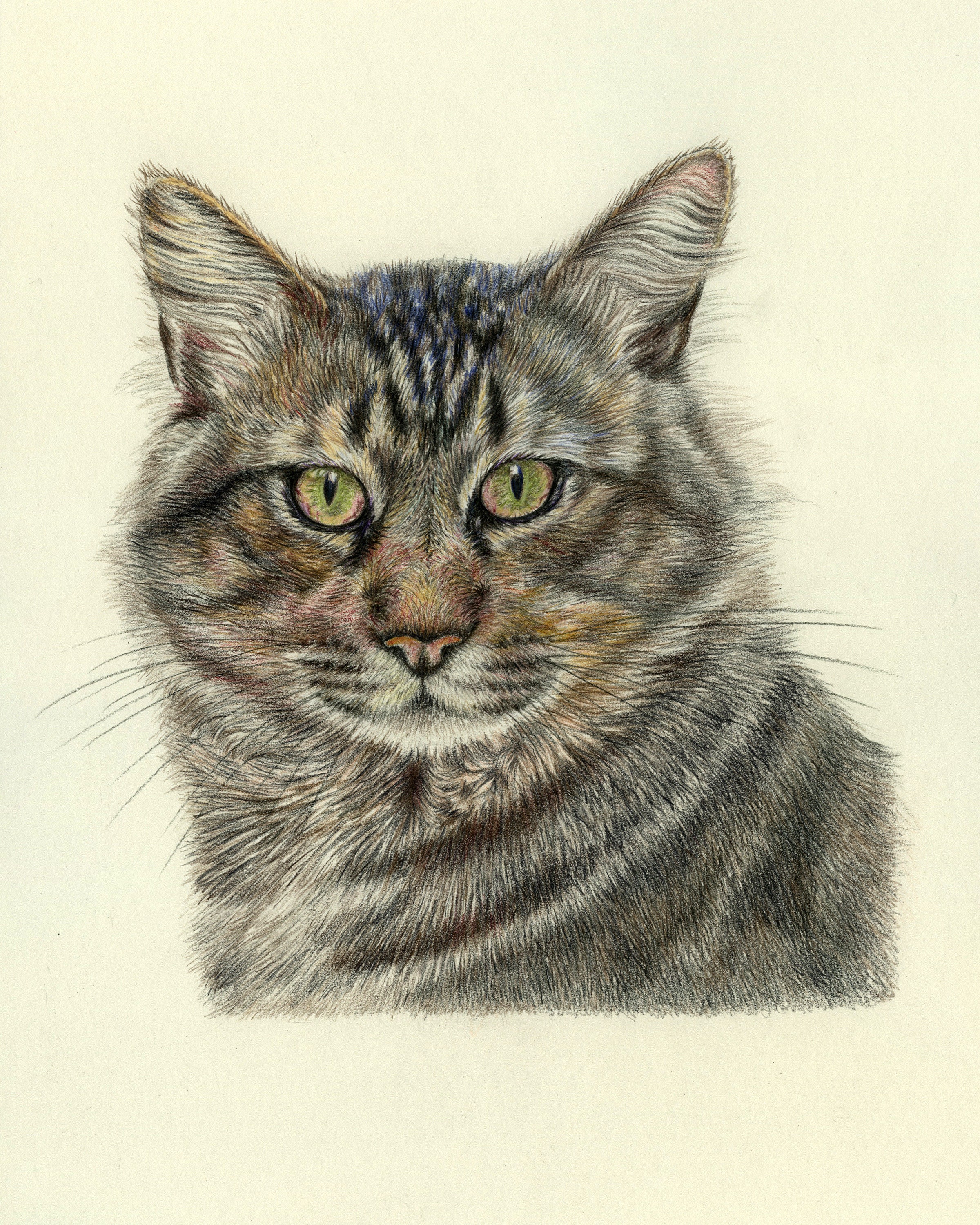 tabbyページ Tabby Cat Print - Etsy