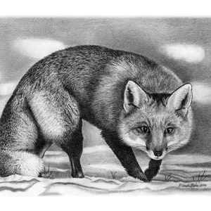 Fox 1 print