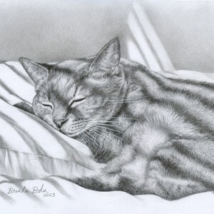 Cat and blinds print