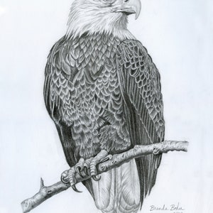 Eagle print
