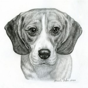 Beagle print