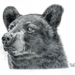 Bear 2  print