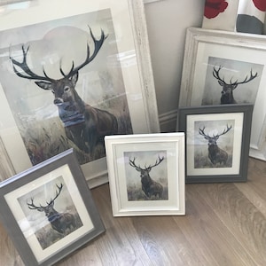Stag art, Stag print, Stag picture, Deer art, Deer print, Deer picture, Deer painting, Stag deer painting, Julie McLean ART
