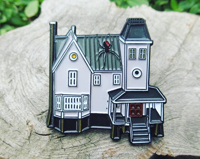 Beetle House Pin