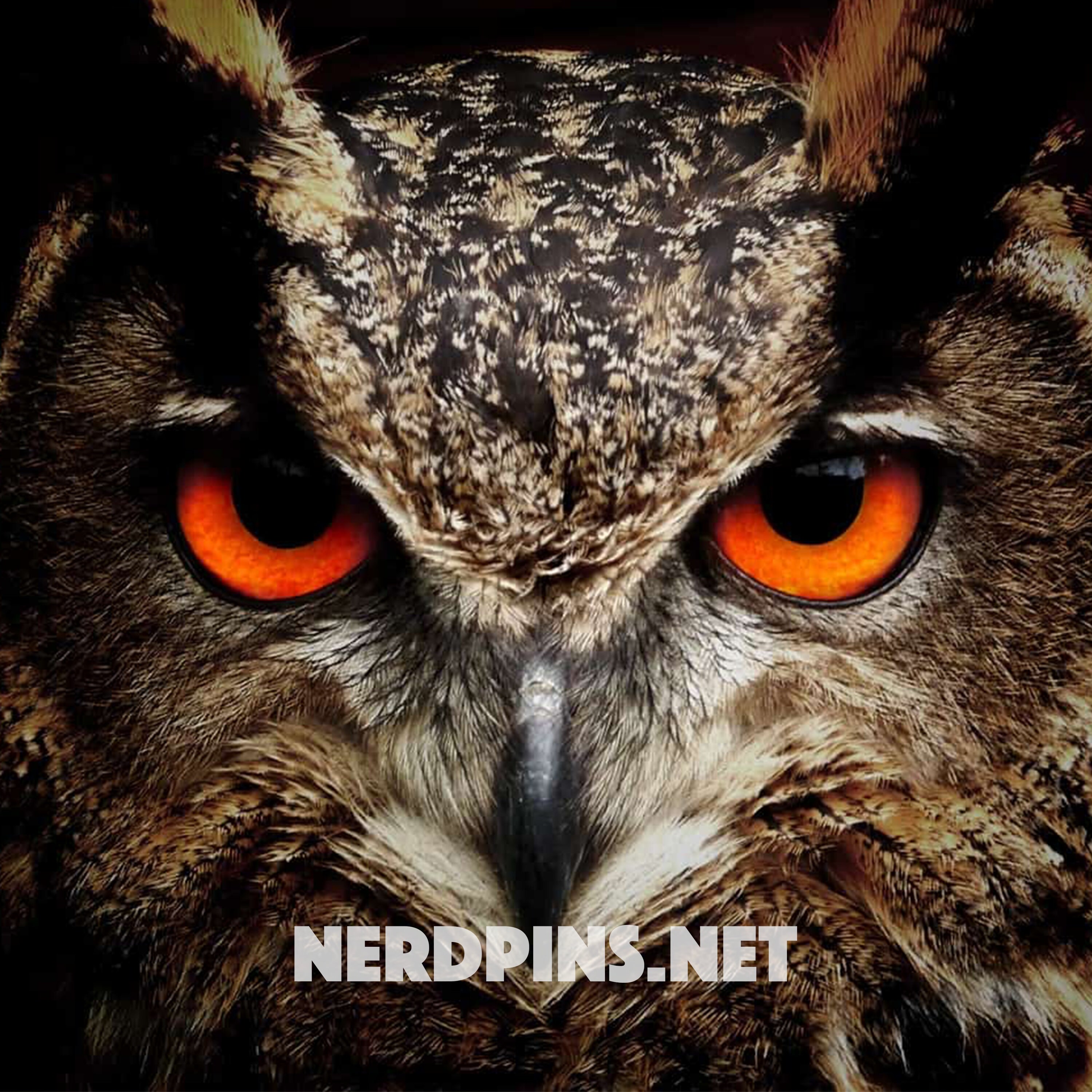 Owl Clock Pin Eyes Move | Etsy