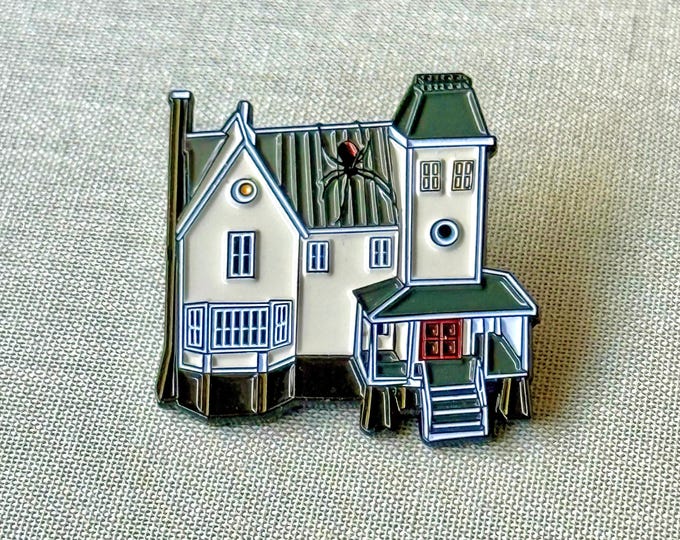 Beetle House Pin