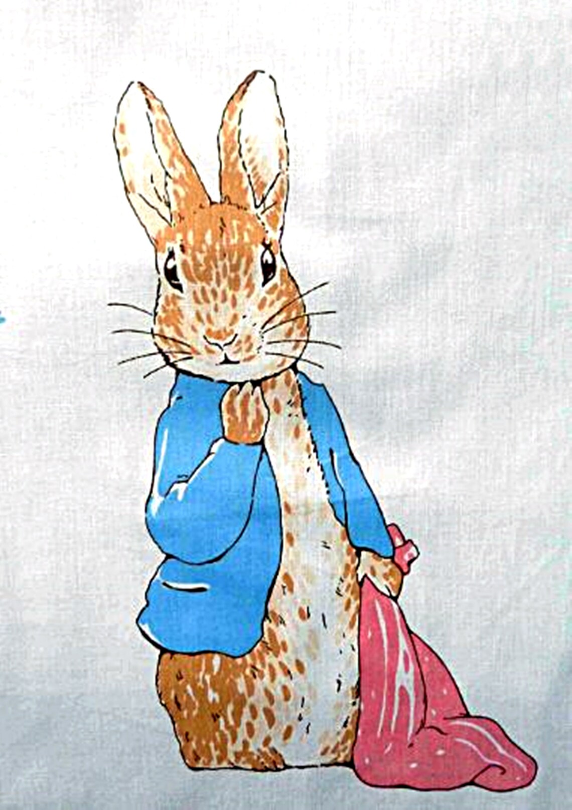 Peter Rabbit Fabric Panel Characters from Beatrix Potter Etsy
