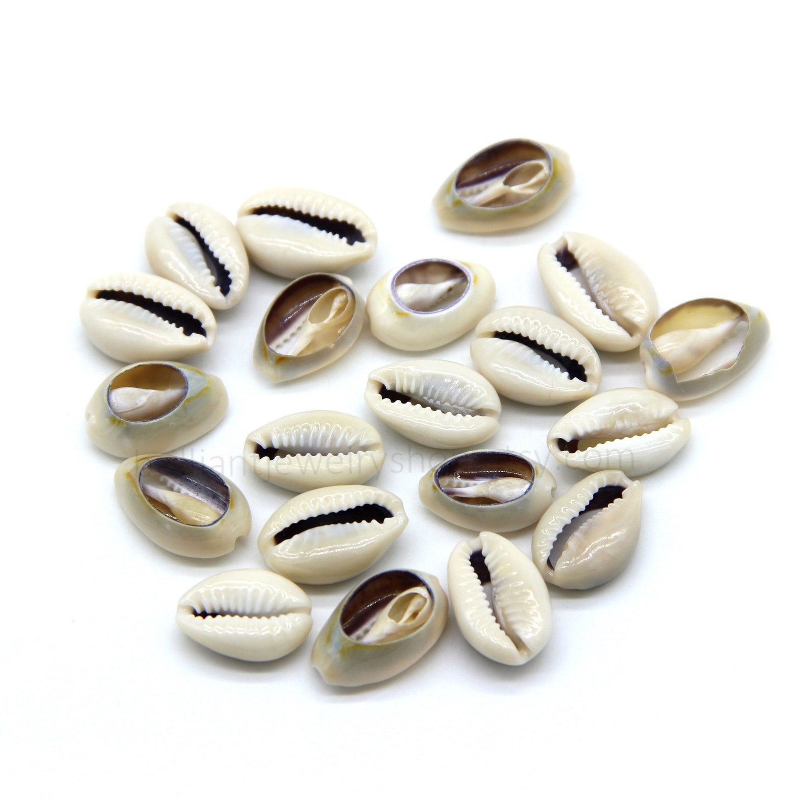Natural Shell Beads, Cowrie Shell Beads Meidium Size, Sea Shell Beads ...