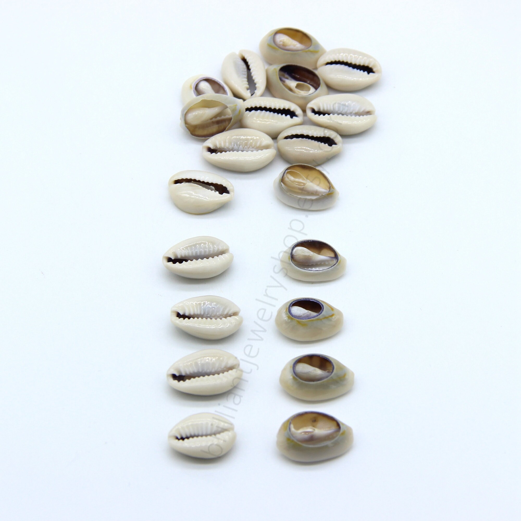 Natural Shell Beads, Cowrie Shell Beads Meidium Size, Sea Shell Beads ...