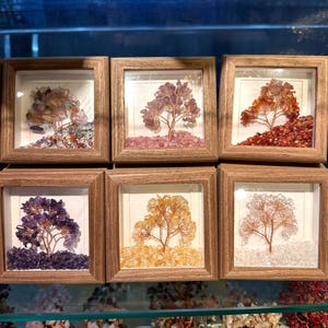 May include: Six framed gemstone tree sculptures. Each tree features a copper wire trunk and branches, adorned with colourful gemstone leaves. The trees are set on a bed of matching gemstones, and framed in wooden shadow boxes.