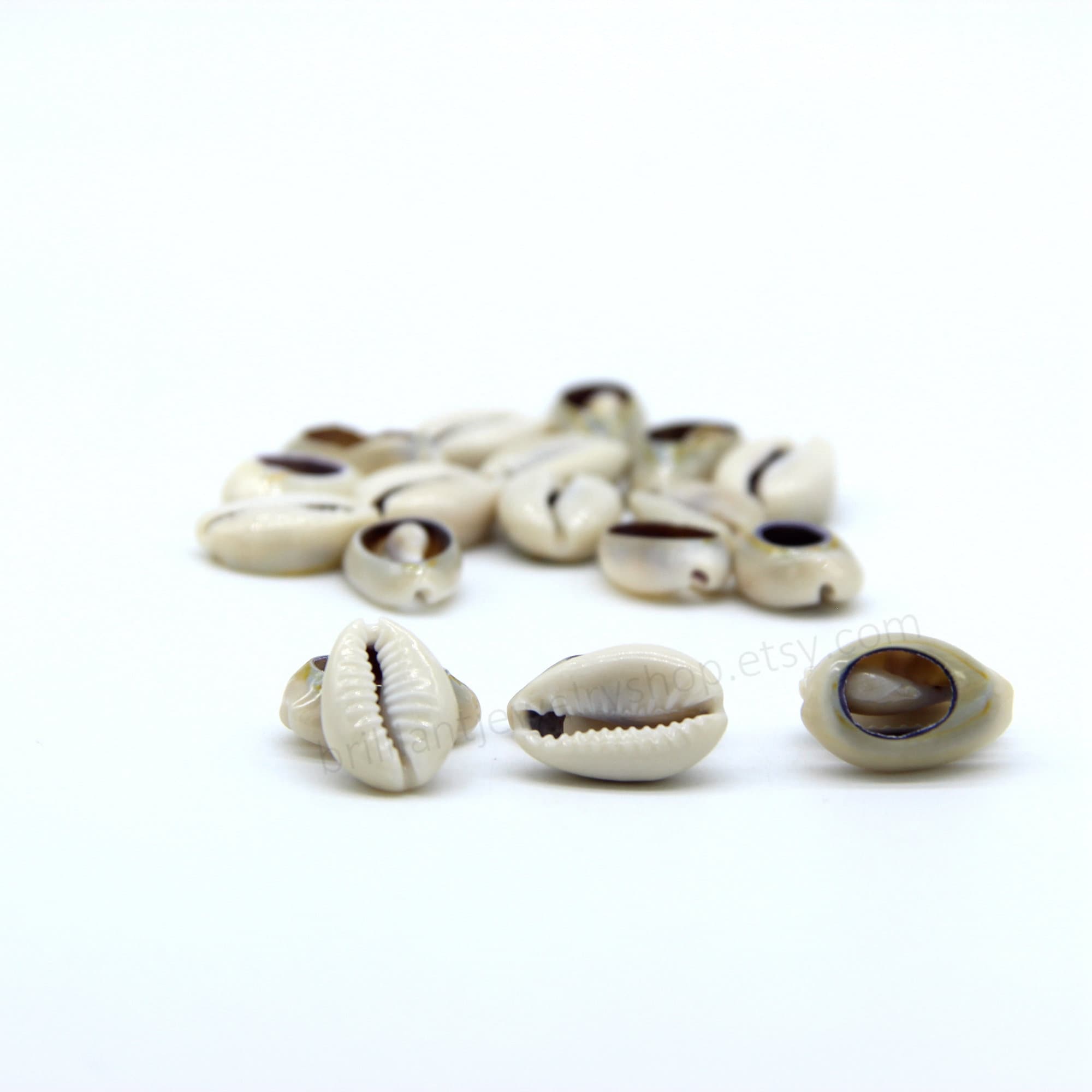 Natural Shell Beads, Cowrie Shell Beads Meidium Size, Sea Shell Beads ...