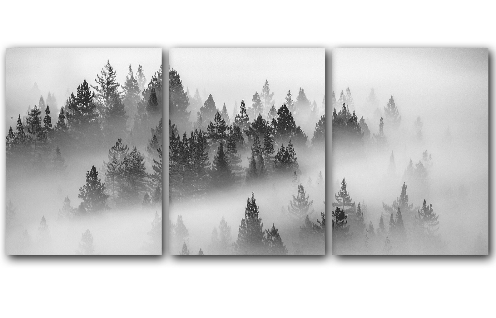 Black and White Pine Tree Wall Art Decor Landscape Nature Etsy