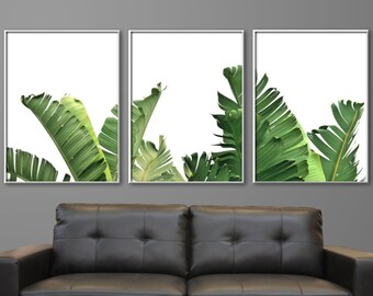 Banana Leaf Poster Print Set of 3: Tropical Palm Triptych