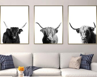 Set of 3, Highland Cow, Poster, Black and White