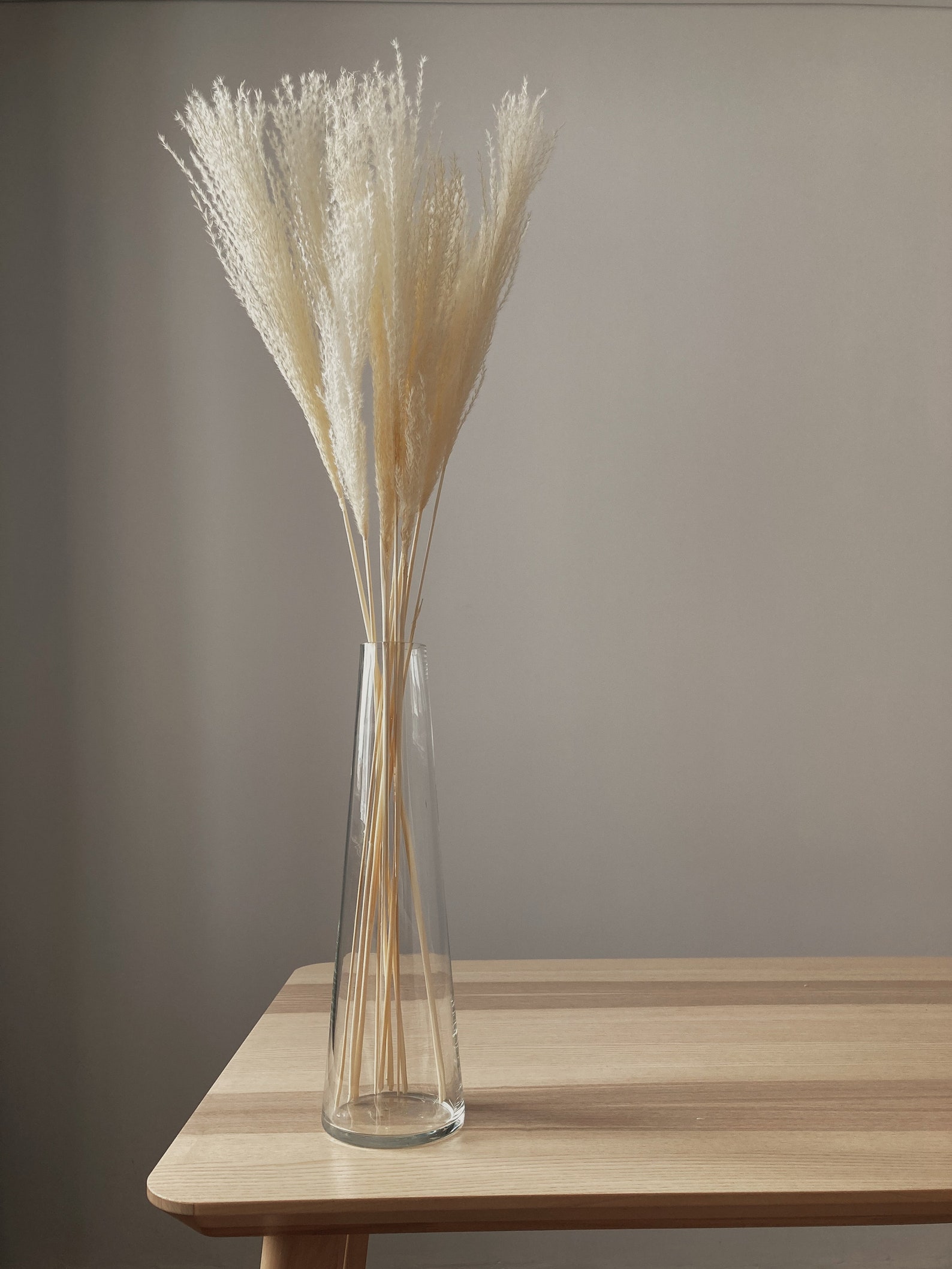 Large Glass Coneshaped Tall Vase For Pampas Grass Vase For Etsy