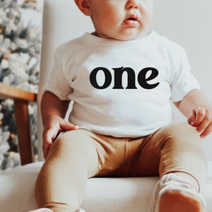 One Birthday Shirt, First Birthday Shirt, Gender Neutral, One Shirt, 1st Birthday Shirt, 1st Birthday Outfit, Birthday Shirt Girl or Boy, 1