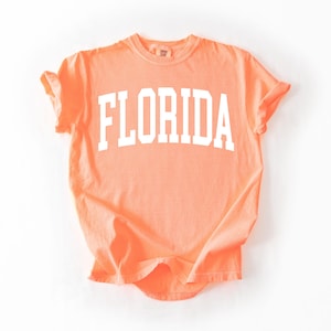 Florida Shirt, Comfort Colors Shirt, Florida T-Shirt, Beach Shirt, Florida Gift, Florida Vacation, Women's Florida Shirt, Florida Souvenir