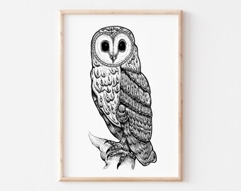 Búho granero / impresión de ilustración dibujada a mano / ecológico