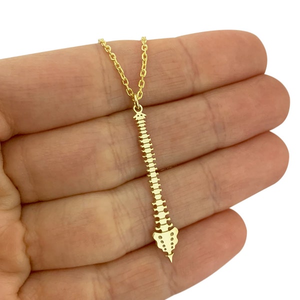 Spine Necklace in Sterling Silver Metal, Chiropractor Necklace, Physical Therapist Necklace, Medical Jewelry, Spinal Cord Jewelry