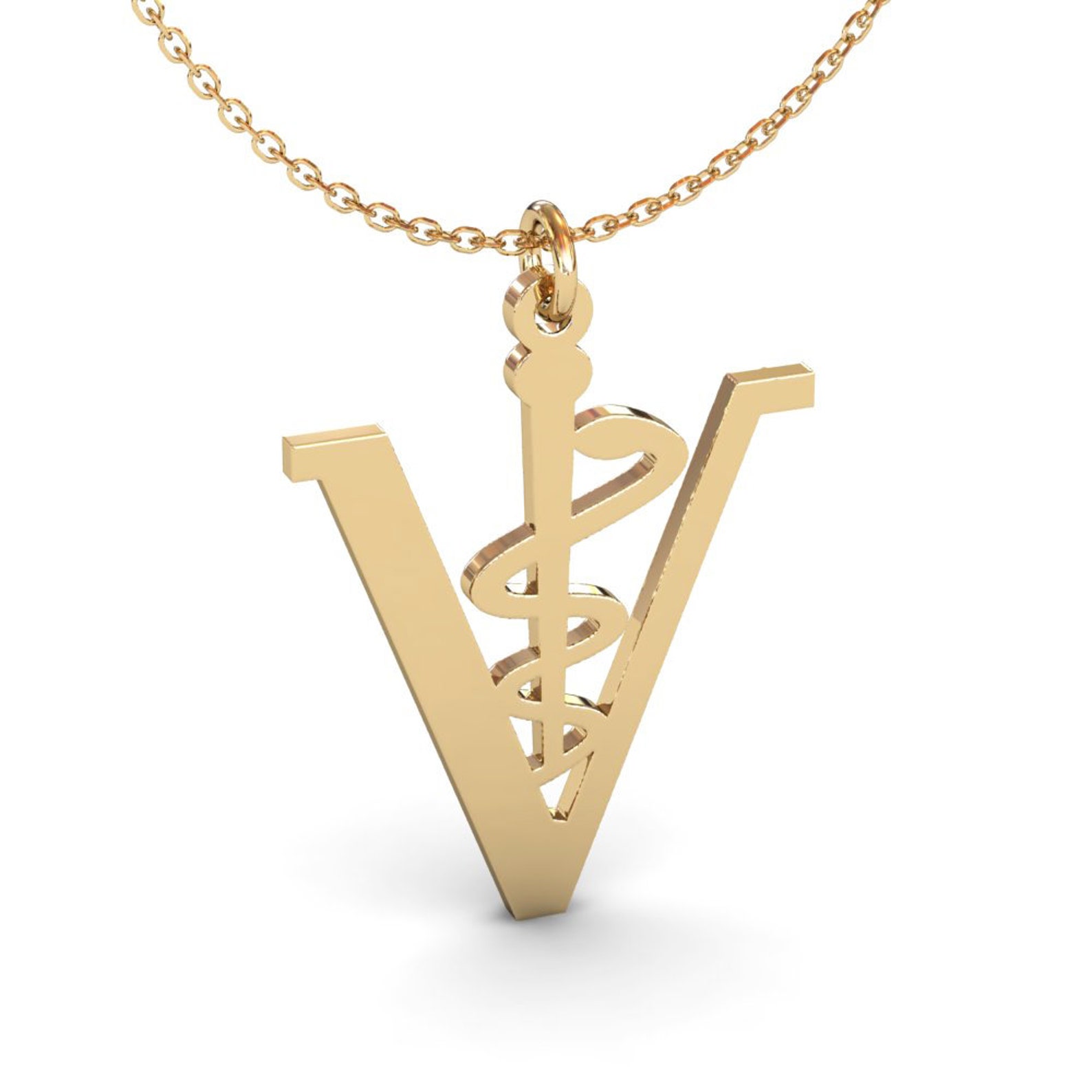 Veterinary Caduceus Necklace in Sterling Silver Metal Etsy