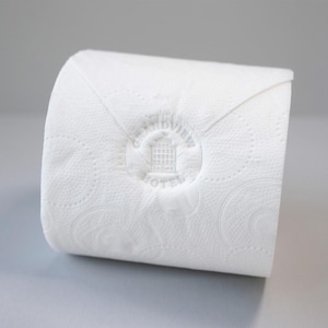 Aangepaste toiletrolstempel, elfstempel