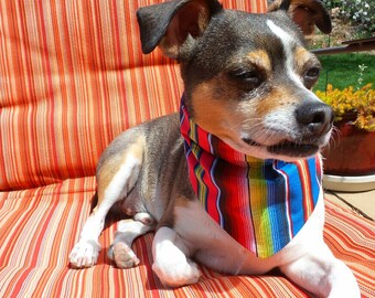 Dog Gift Serape Stripe Dog Bandana Personalized Personalized Dog Bandana Monogram Dog Bandana Bandana with Dog Name Mexican Blanket