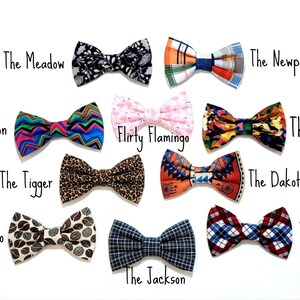 May include: Twelve different bow ties with various patterns and colors, including a black and white leopard print, a pink flamingo print, a blue and green chevron pattern, and a brown and white coffee bean print. The bow ties are arranged in three rows of four, with the names of each bow tie written below them.