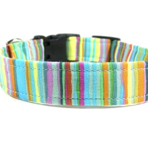 Dog Collar - Spring Stripe - Easter Dog Collar -Striped Dog Collar - Unisex Dog Collar- Bow Tie Sold Separately