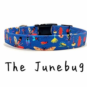 May include: Blue dog collar featuring a pattern of colourful insects. The collar has a black plastic buckle and a metal D-ring. The text "The Junebug" is written in black script below the collar.
