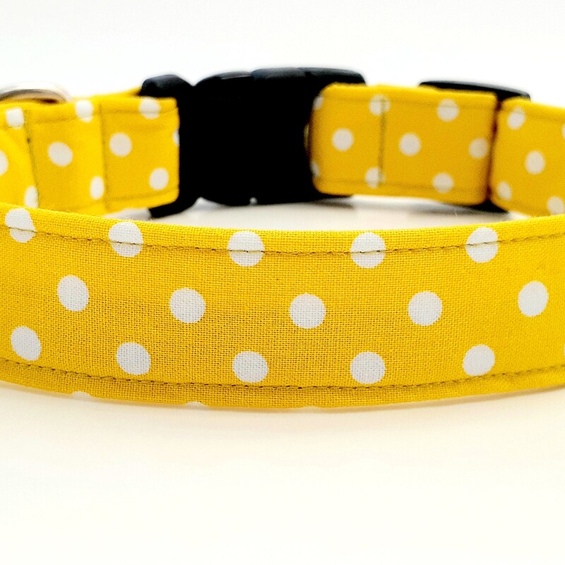 Spring Dog Collar - Etsy