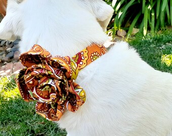 Fall Flower for Dogs - Collar not Included