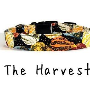 May include: A black dog collar with a colorful pattern of gourds and leaves. The text "The Harvest" is printed below the collar.